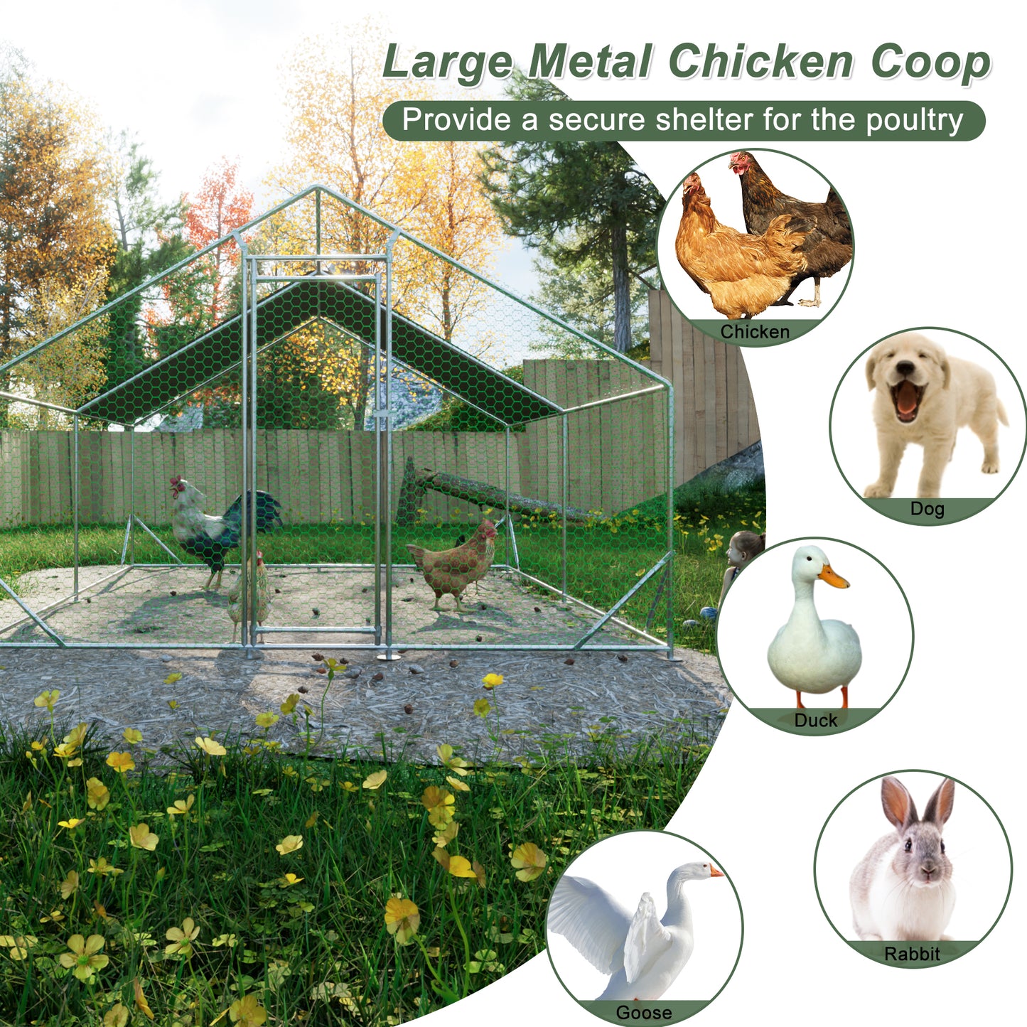 Large metal chicken cage, galvanized iron ribbon waterproof and UV resistant cover (10 'long x 13' wide x 6.56 'high) - NOVADI