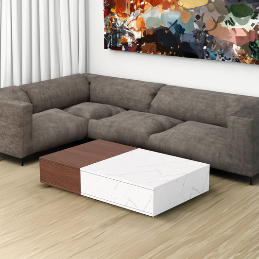 Modern style walnut coffee table with two storage spaces