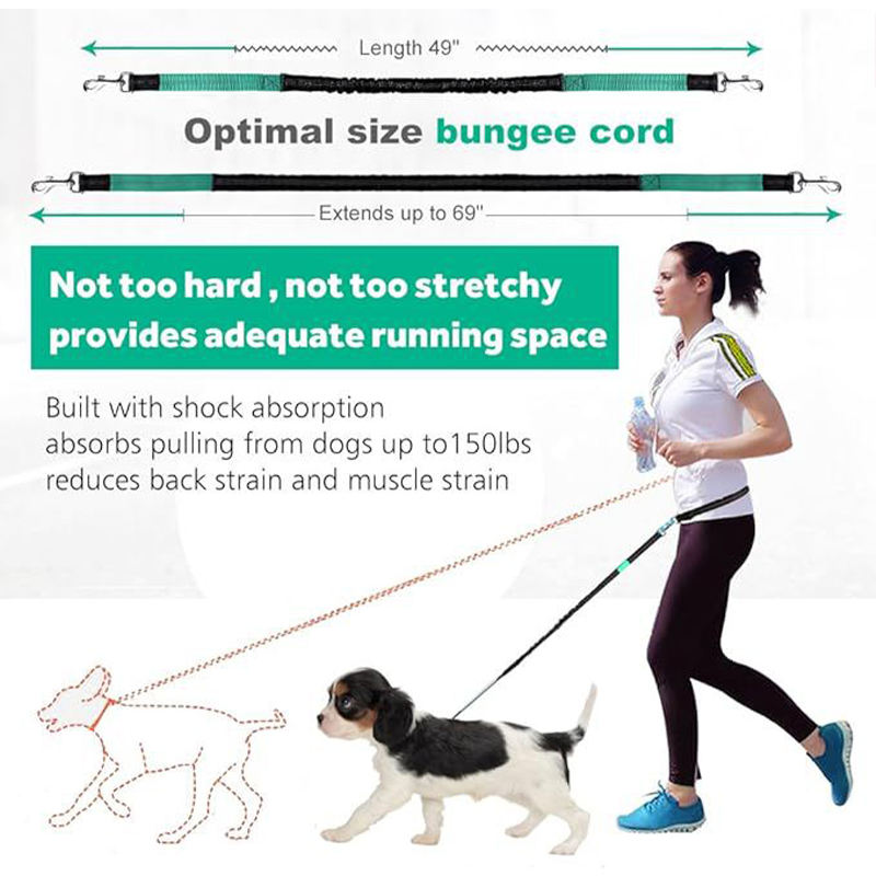 Pet Running Traction Jump Rope Suit Reflective Night Running Sports Waist Bag Cross - NOVADI